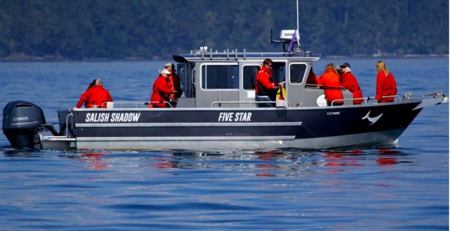 Victoria, BC: 3-Hour Ultimate Whale & Marine Wildlife Tour - Is $125 a Fair Price?