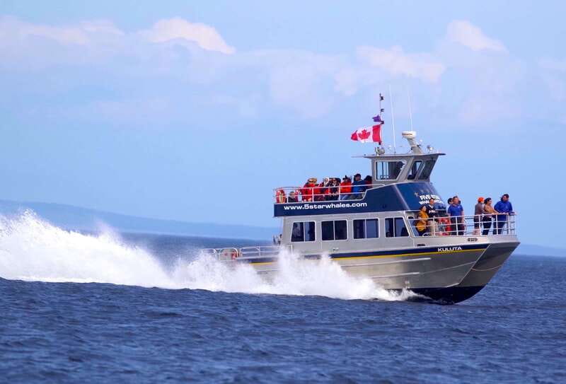 Victoria BC: 3-Hour Whale Watching Expedition - The crew makes the difference