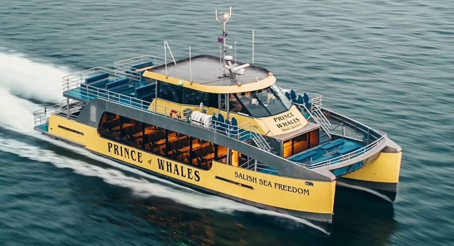 Victoria: Covered Whale Watching Adventure with Free Photos - How the wildlife viewing works