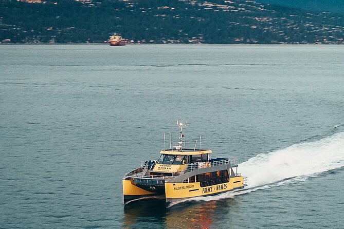 Victoria Half-Day Whale Watching Adventure with Free Photos - What the Naturalist Team Adds