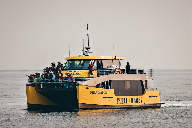 Victoria Half-Day Whale Watching Adventure with Free Photos - Why the $154.08 Price Can Make Sense
