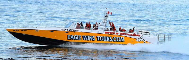 Victoria: Morning Whale-Watching Tour in Scarab Boat - Why this Scarab boat makes a difference
