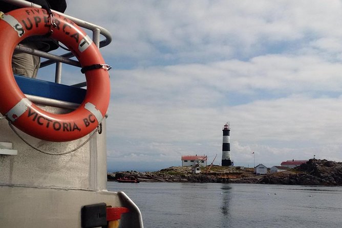 Victoria Shore Excursion: Whale-Watching Cruise with Expert Naturalist Guides - The boat, seating, and weather