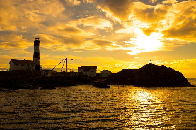 Victoria Sunset Whale-Watching Cruise - Staying warm and comfortable on the water