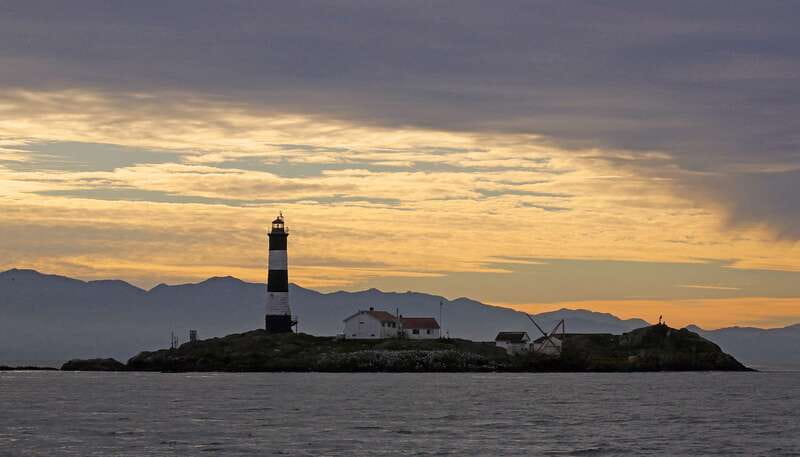 Victoria: Sunset Whale Watching Tour on an Open Scarab Boat - Why the sunset departure works so well
