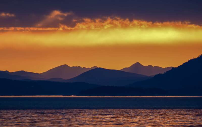Victoria: Sunset Whale Watching Tour on an Open Scarab Boat - What the wildlife search feels like