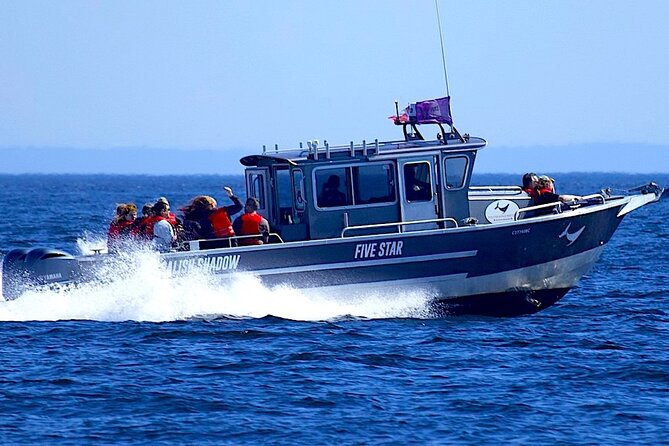 Victoria Ultimate Marine Whale & Wildlife Tour - Setting out from downtown Victoria