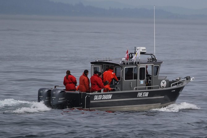 Victoria Ultimate Marine Whale & Wildlife Tour - Timing, weather, and the nature of the gamble