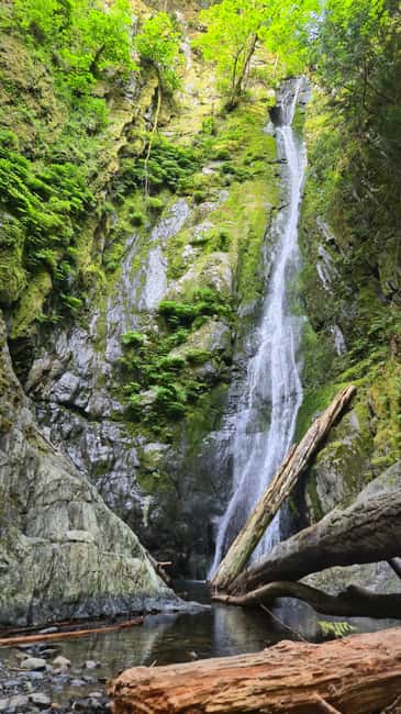 Victoria Waterfall, Skywalk, Beach Picnic, Castle and Whales - A full day in a compact package