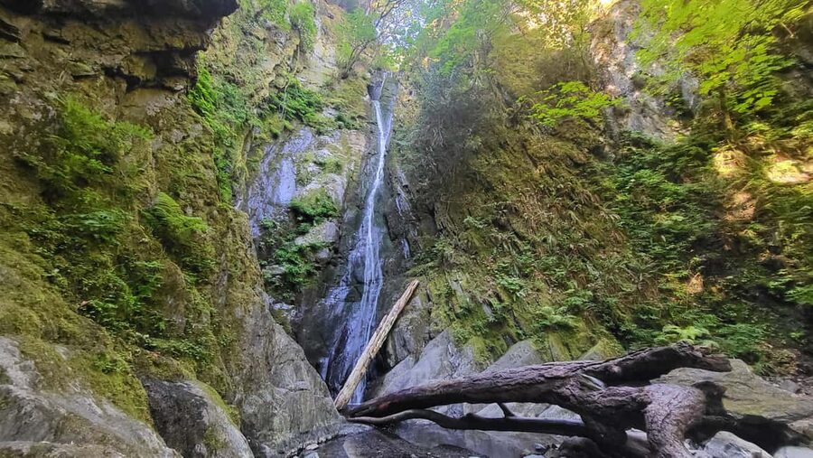 Victoria Waterfall, Skywalk, Beach Picnic, Castle and Whales - Should you book it?