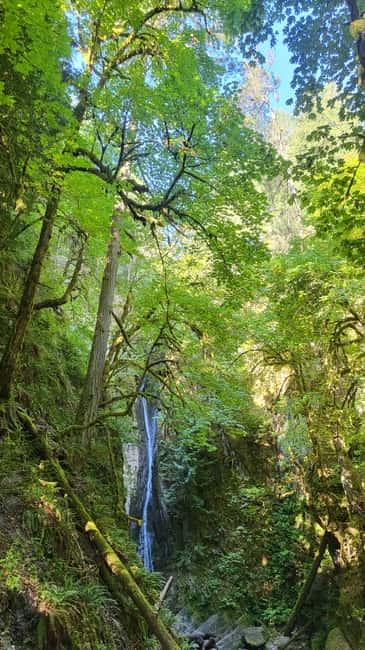 Victoria Waterfall, Skywalk, Beach Picnic, Castle and Whales - Goldstream Park and the salmon creek