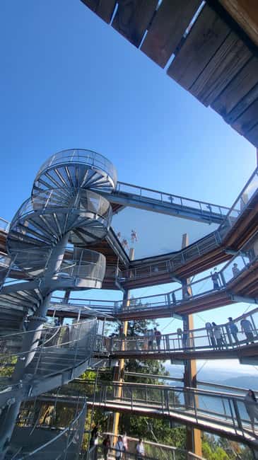 Victoria Waterfall, Skywalk, Beach Picnic, Castle and Whales - Who will enjoy this outing most