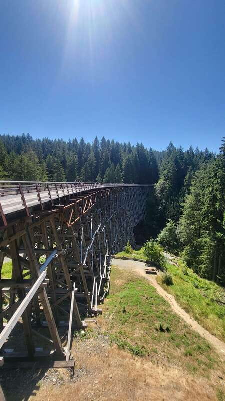 Victoria Waterfall, Skywalk, Beach Picnic, Castle and Whales - Booking, cancellations, and final value