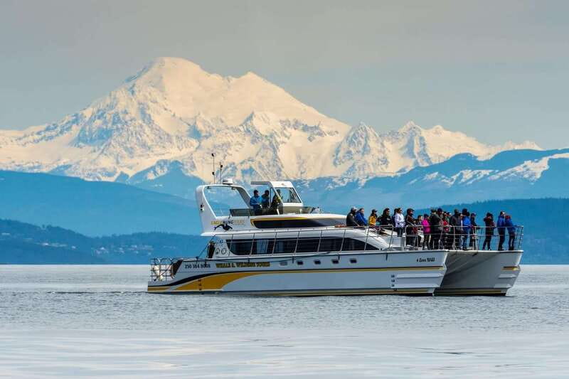 Victoria: Whale and Wildlife Semi-Covered Boating Tour - Key points to know before you book