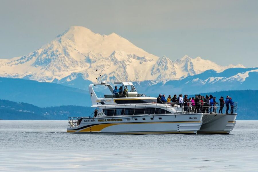 Victoria: Whale and Wildlife Semi-Covered Boating Tour - What the guides add to the ride
