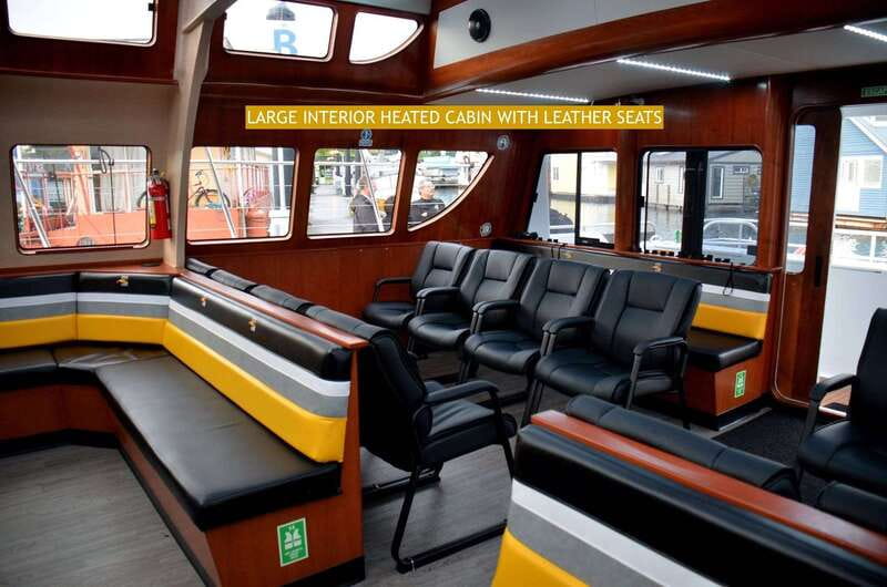 Victoria: Whale and Wildlife Semi-Covered Boating Tour - A catamaran made for changing weather