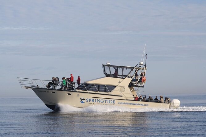 Victoria Whale Watch Tour - How the three-hour search works