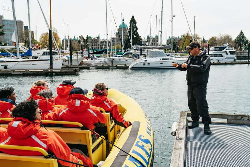 Victoria: Whale Watching Adventure in a Zodiac Boat - Searching the Salish Sea for orcas and humpbacks