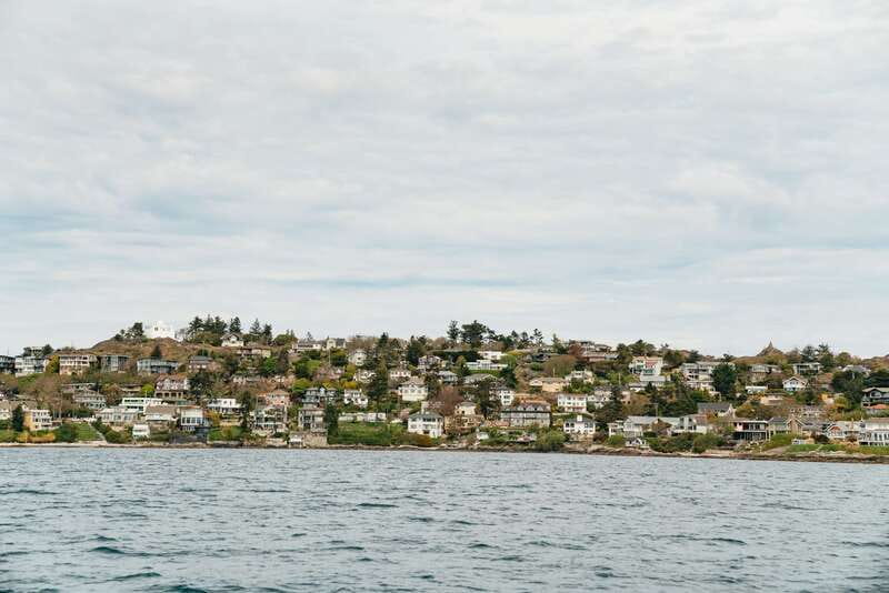 Victoria: Whale Watching Adventure in a Zodiac Boat - What the $149 price includes