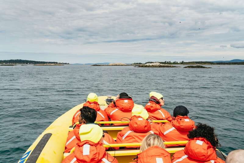 Victoria: Whale Watching Adventure in a Zodiac Boat - What the Zodiac ride really feels like