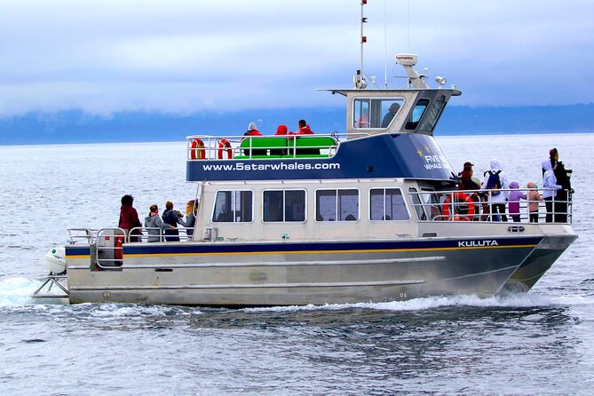 Victoria Whale Watching Cruise with Expert Naturalists - Key points to know before you go