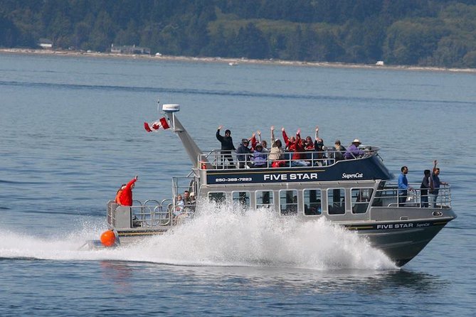 Victoria Whale Watching Cruise with Expert Naturalists - Two naturalists make a real difference