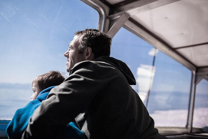 Victoria Whale Watching Tour on a Covered Vessel - What the three-hour outing is like