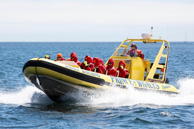 Victoria Zodiac Boat Whale Watching Adventure - Is $154.08 a fair price?