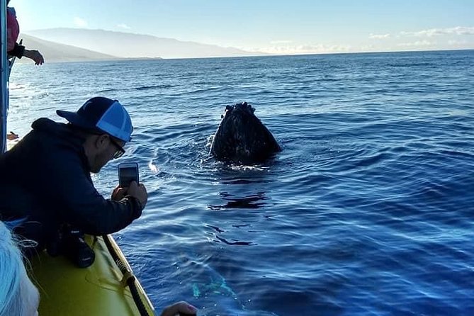 VIP (12 Guests ONLY) Ultimate Whale Watch - Who should book this raft