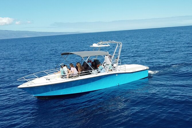VIP Premiere Whale Watch Kaanapali Beach MAX 12 PASSENGERS - Breaches, calves, and the unpredictable part