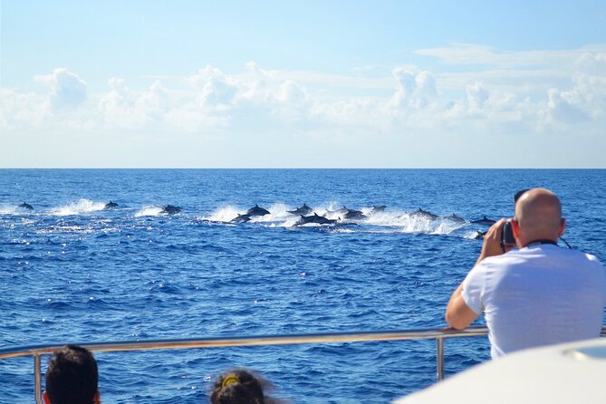VipDolphins Luxury Whale Watching - Swimming and snorkeling below Cabo Girao