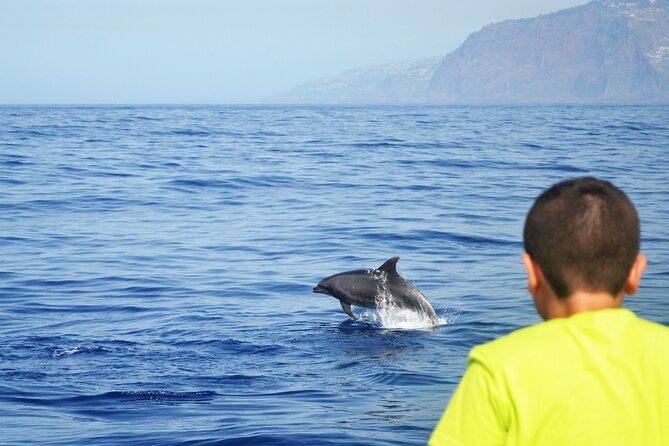 VipDolphins Luxury Whale Watching - Why the group limit changes the value