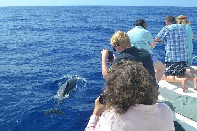 VipDolphins Luxury Whale Watching - Is $95.53 a fair price?