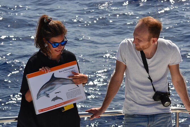 VipDolphins Luxury Whale Watching - Snacks, champagne, and Madeira treats
