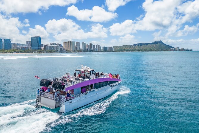 Waikiki, Oahu 2-Hour Whale Watching: Guaranteed Sightings - Why December through April matters
