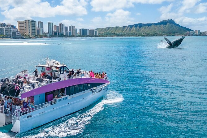 Waikiki, Oahu 2-Hour Whale Watching: Guaranteed Sightings - Weather, cancellations, and basic planning