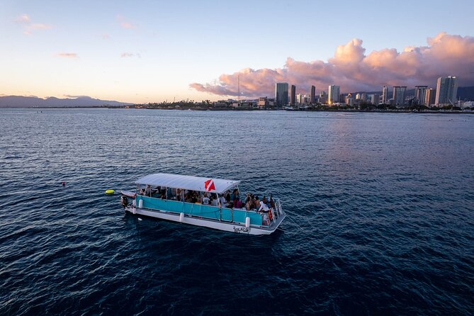 Waikiki Whale Watching Cruise - The Waikiki and Diamond Head backdrop