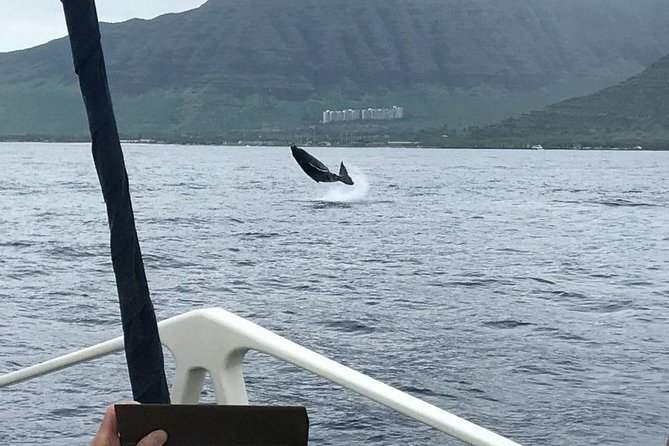 Waikoloa Deluxe Whale Watch - Setting out from Waikoloa for a short whale cruise