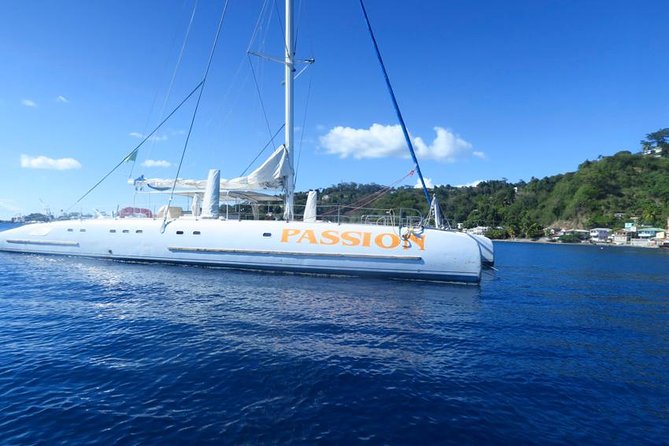 Waitukubuli Dolphin and Whale Watch in Dominica - Finding sperm whales with the hydrophone