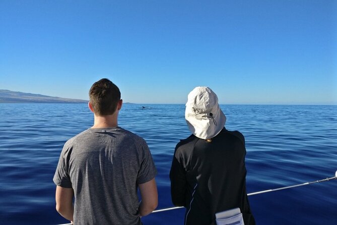 Wake Up With the Whales Cruise on Seasmoke - Booking, cancellations, and weather limits