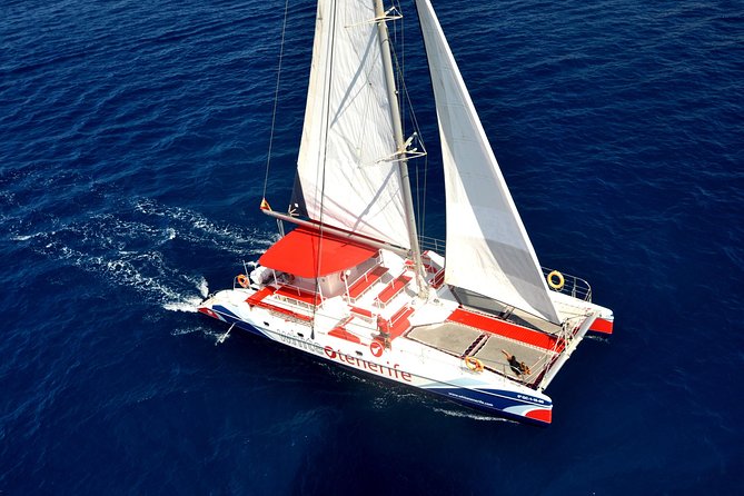 Watching and Listening Whales visiting Los Gigantes&Masca. Food&drinks included - Key points before you book