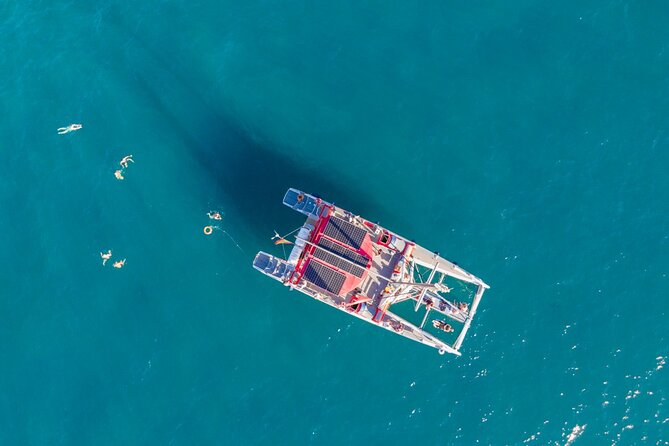 Watching and Listening Whales visiting Los Gigantes&Masca. Food&drinks included - Crew service and the feel on board
