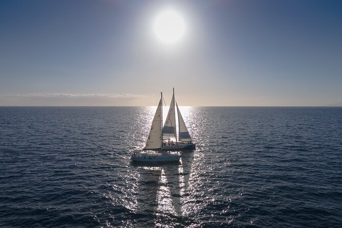 Watching and Listening Whales visiting Los Gigantes&Masca. Food&drinks included - Is $68.61 good value for five hours?