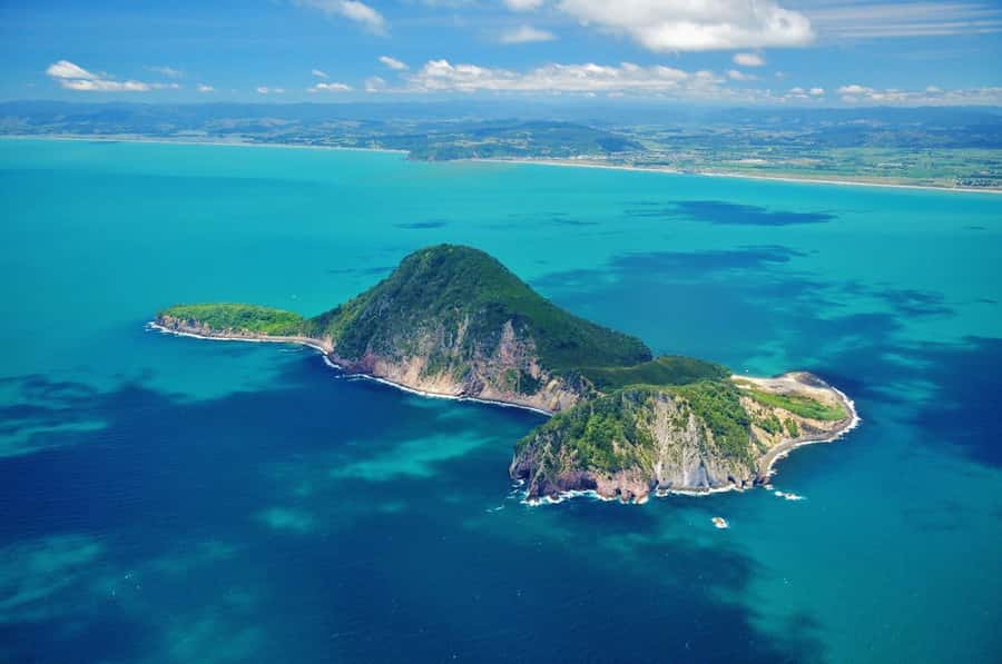 Whakaari - White Island Cultural and Flight Experience - Key points to know before booking
