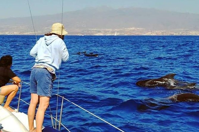 Whale and Dolphin Small Group Sailing from Tenerife South - Dolphins, turtles, and the return toward shore