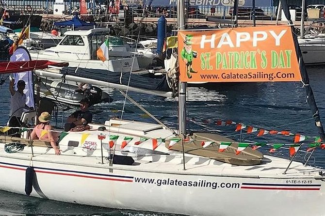 Whale and Dolphin Small Group Sailing from Tenerife South - Captain Patrick and the tone of the trip