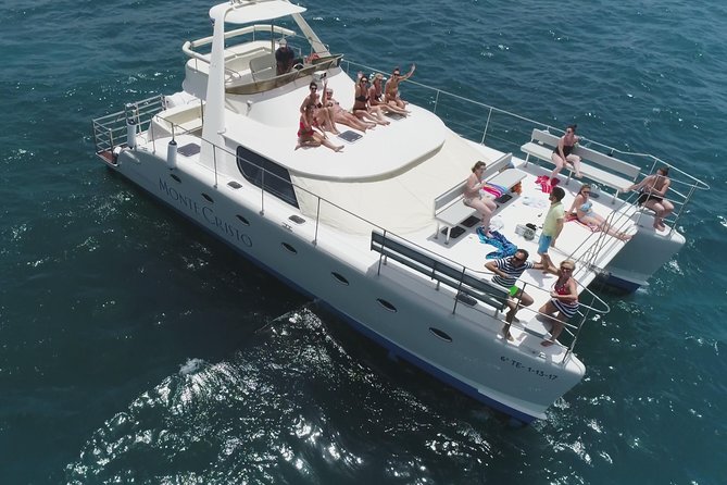 Whale and Dolphin Watching Catamaran with Transfer and Buffet - What makes this catamaran trip worth considering