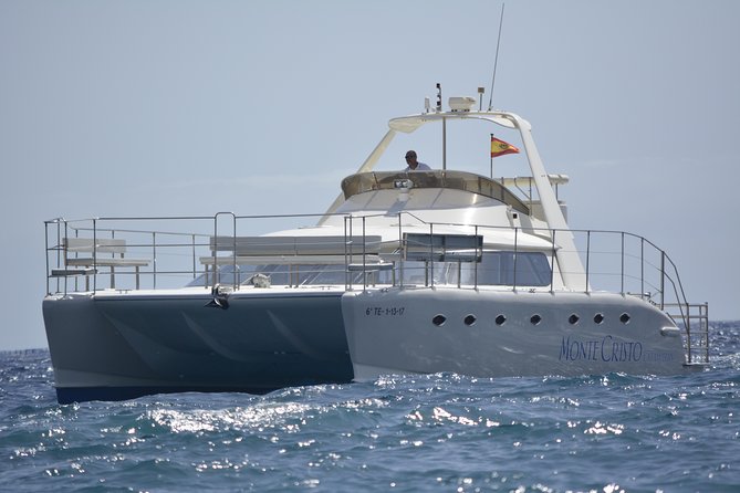 Whale and Dolphin Watching Catamaran with Transfer and Buffet - Three hours in Tenerife’s whale waters