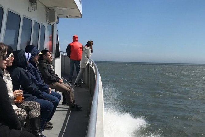 Whale and Dolphin Watching Cruise from Cape May - Dolphins, whales, and the value of honest expectations