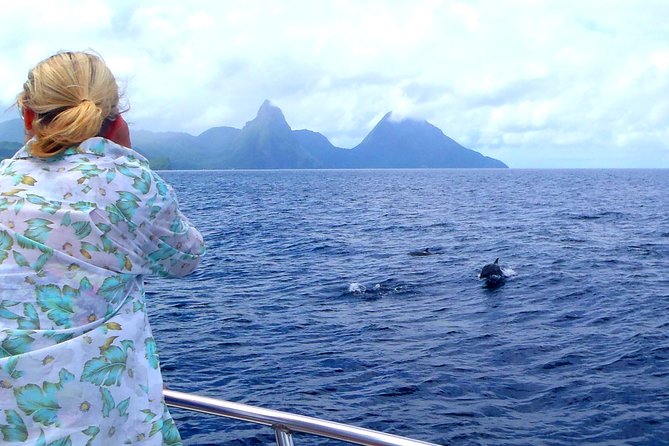 Whale and Dolphin Watching Cruise in St Lucia - The views toward the Pitons